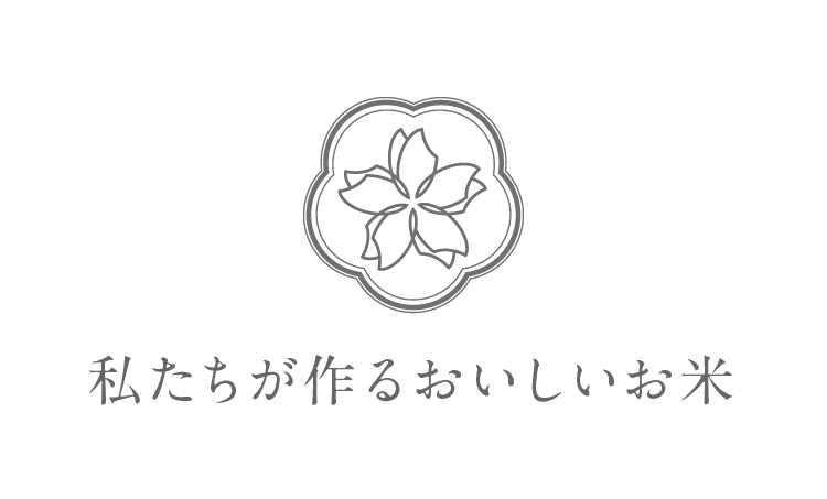 私たちが作るおいしいお米